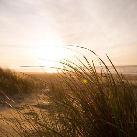 Grosse Nordseewelle Ohne Hund Norden Bagian luar foto
