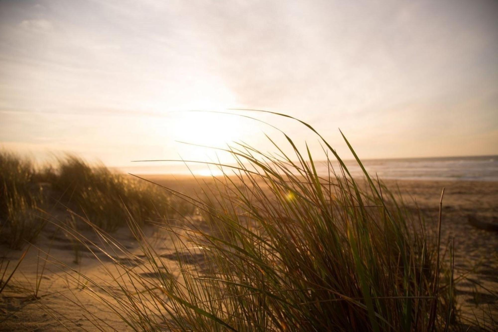 Grosse Nordseewelle Ohne Hund Norden Bagian luar foto