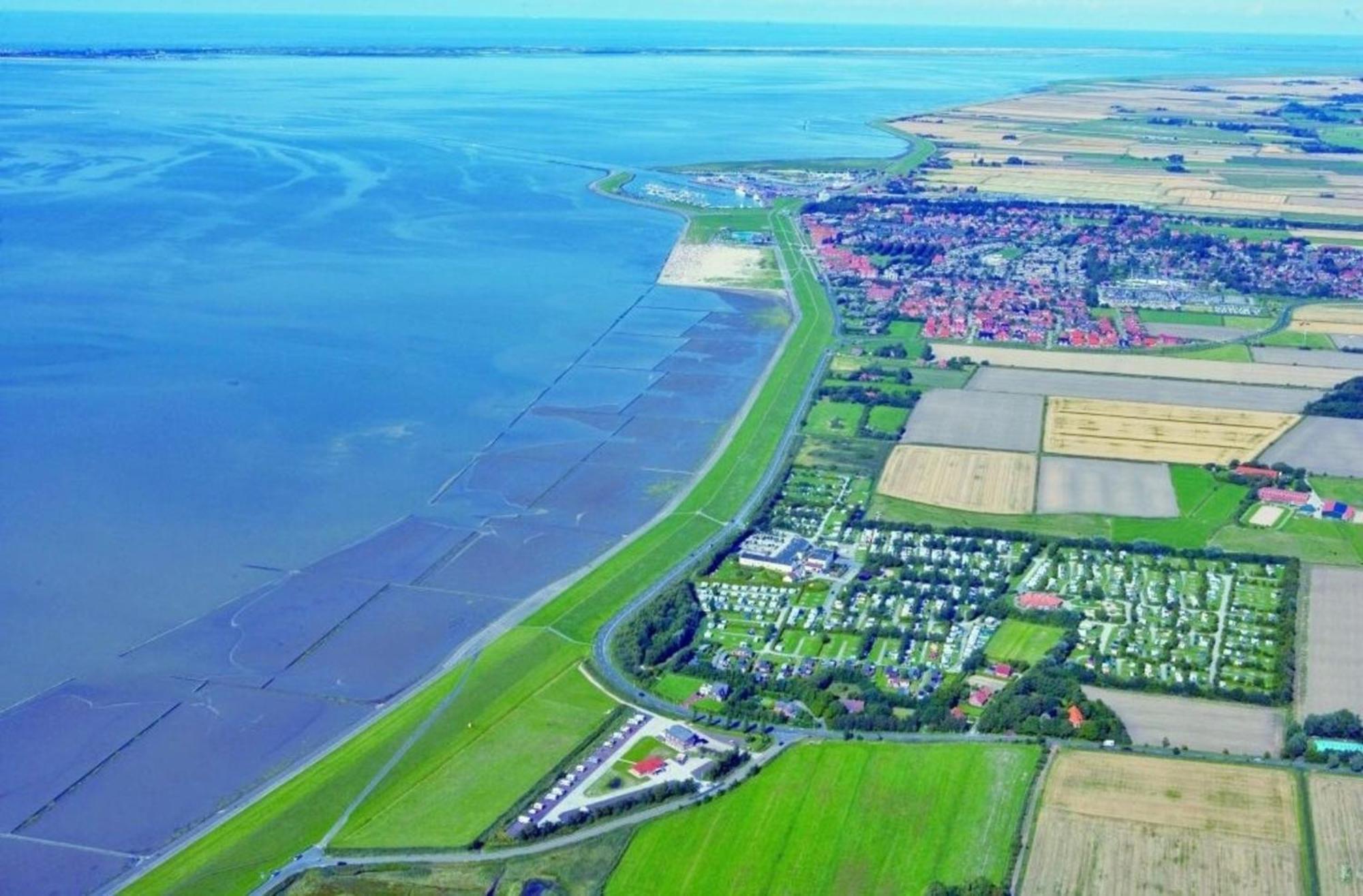 Grosse Nordseewelle Ohne Hund Norden Bagian luar foto
